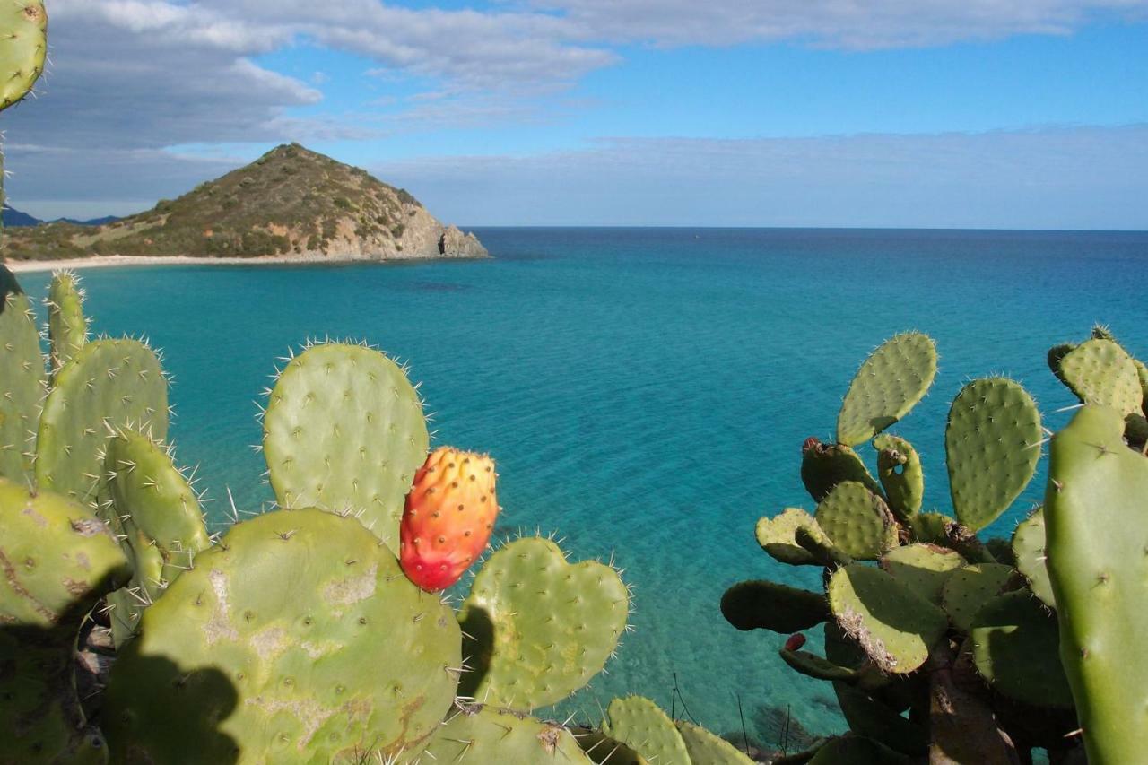 Casa Casciu La Collina Sul Mare Villa Costa Rei Exteriör bild